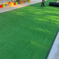 چمن مصنوعی  نو و کارکرده|مصالح و تجهیزات ساختمان|مشهد, حجاب (شهرک غرب)|دیوار