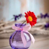 پایان نامه. مقاله. انجام خدمات دانشجویی(اقساط)