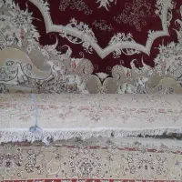 فروش فرش نه متری|فرش|رامسر, |دیوار