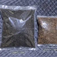 چای لاهیجان، چوب و ممتاز 1405