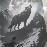 تولید و پخش لباس بختیاری|لباس|فارسان, |دیوار