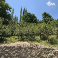 باغ ۱۰۰۰ متری در زشک زیر فی کارشناس