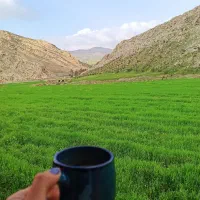 اجاره و رهن ملک تجاری مجتمع تفریحی گردشگری|اجارهٔ دفتر کار، اتاق اداری، مطب|ایذه, |دیوار