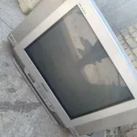 تلویزیون