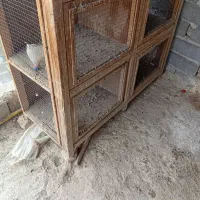 جفت کن کفتر