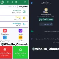 شاهدیان گلد سایت جدید