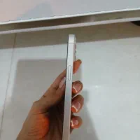 گوشی آیفون 13|موبایل|ری, علایین|دیوار