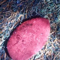 سنگ|کلکسیون اشیاء عتیقه|تهران, افسریه جنوبی|دیوار