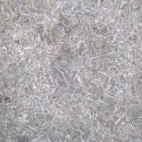 کاه لوبیاسبز