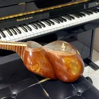 تار حرفه ای