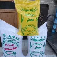 برنج سرلاشه ۲۱۲و طارم ۳۶۲و فجر ۲۶۱ت