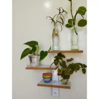 استند چوبی گل گیاه دیواری