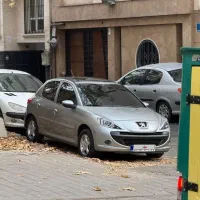 پژو207 اتومات تیتانیوم سقف پانا مدل 1404