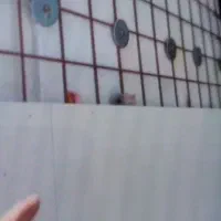 اعزام استادکار حرفه ای نما خشک بصره