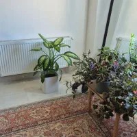 کارهای عمومی خانه