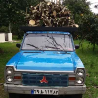 خریدار چوب باغی و جنگلی با بهترین قیمت|خدمات باغبانی و درختکاری|تنکابن, |دیوار