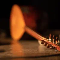 آموزش باغلاما به صورت حرفه ای صفر تا صد