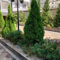 115متر-2خواب-علامه-شمالی-سعادت-آباد