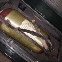 کپسول cng پژو سمند پرشیا|قطعات یدکی و لوازم جانبی|قم, شهرک قدس|دیوار