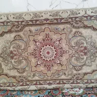 دو جفت پشتی