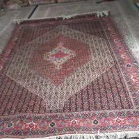 فروش فرش دست باف|فرش|سنندج, |دیوار
