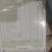زانتیا مدل۸۳|خودرو سواری و وانت|اهواز, کوی مهدیس|دیوار