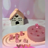 قالب سیلیکونی