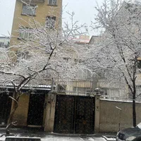 همخانه خانم برای خانم
