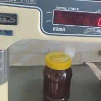 عسل کوهی (وحشی)|خوردنی و آشامیدنی|شیراز, شهرک قمشه|دیوار