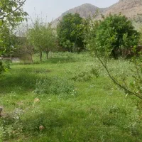 گاوداری