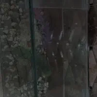 اکواریوم