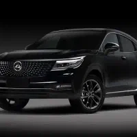 دیگنیتی پرستیژ مشکی تومارون