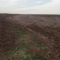 زمین کشاورزی با چاه آب و مجوز گلخانه