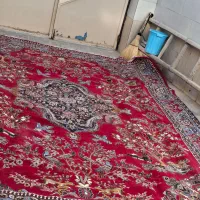 فروش فرش|فرش|تربت‌حیدریه, حیدرآباد|دیوار