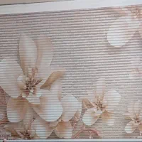 پرده زبرا دومکانیزه