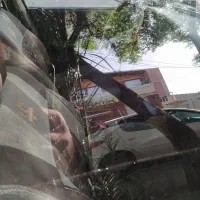 روآ 85|خودرو سواری و وانت|کرمان, |دیوار