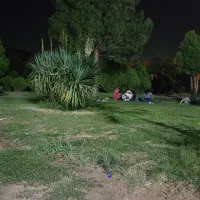 رهن-و-اجاره-فاز-3-ناصرین-105-متری