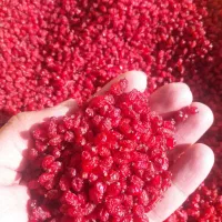 زرشک پفکی قاینات
