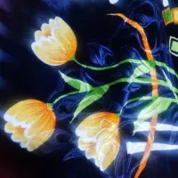 5عددپتو مارک نرمین