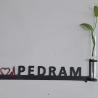 * روز دختر *استند گل پتوس با اسم دلخواه شما