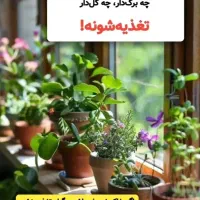 قرص کود ارگانیک|خدمات باغبانی و درختکاری|نی‌ریز, |دیوار