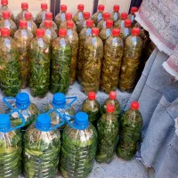 خیار شور ۱/۵ لیتری  و ۴ لیتری سوپر ویژه|خوردنی و آشامیدنی|سراب, |دیوار