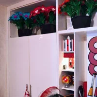 اجرا و آموزش تخصصی شعبده بازی در سطوح حرفه ای|خدمات پذیرایی، مراسم|مشهد, کوثر|دیوار