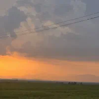 نگهبان برای دامداری