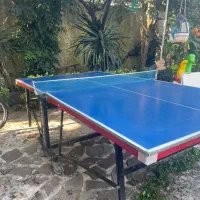 میز پینک پنگ فردوس|تجهیزات ورزشی|چالوس, |دیوار