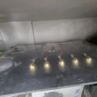 گاز رومیزی و جارو برقی