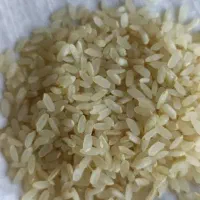 برنج کامفیروزی لوکس(بدون واسطه)|خوردنی و آشامیدنی|مرودشت, بهارستان|دیوار