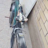 دوچرخه|دوچرخه، اسکیت، اسکوتر|فولادشهر, B2|دیوار