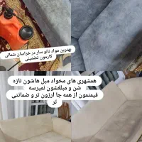 مبل شوی درمنزل بامواد نانو 100(ضمانتی) تخفیف ویژه