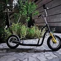 اسکوتر سایز بزرگ برند WZOOM